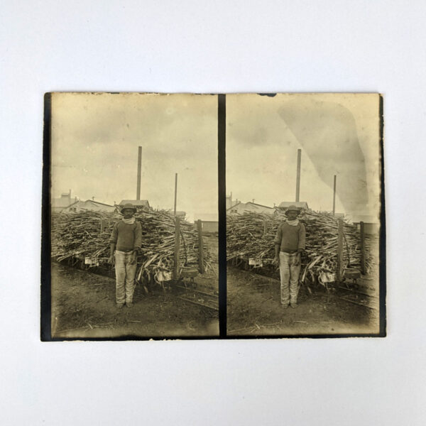 South Sea Islander Beside Stacked Cane, Queensland